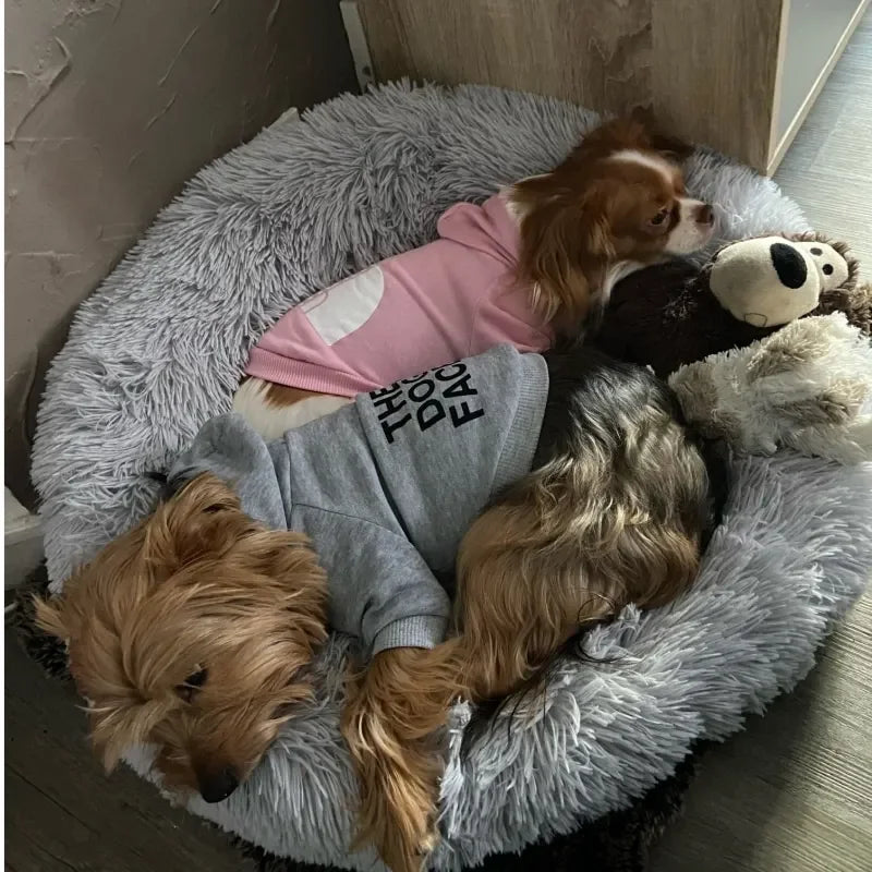 Dog Hoodies for Large Dogs Hoodie with Dog Pouch Pet Dogs Hoodies Autumn and Winter Season French Jacket Clothing