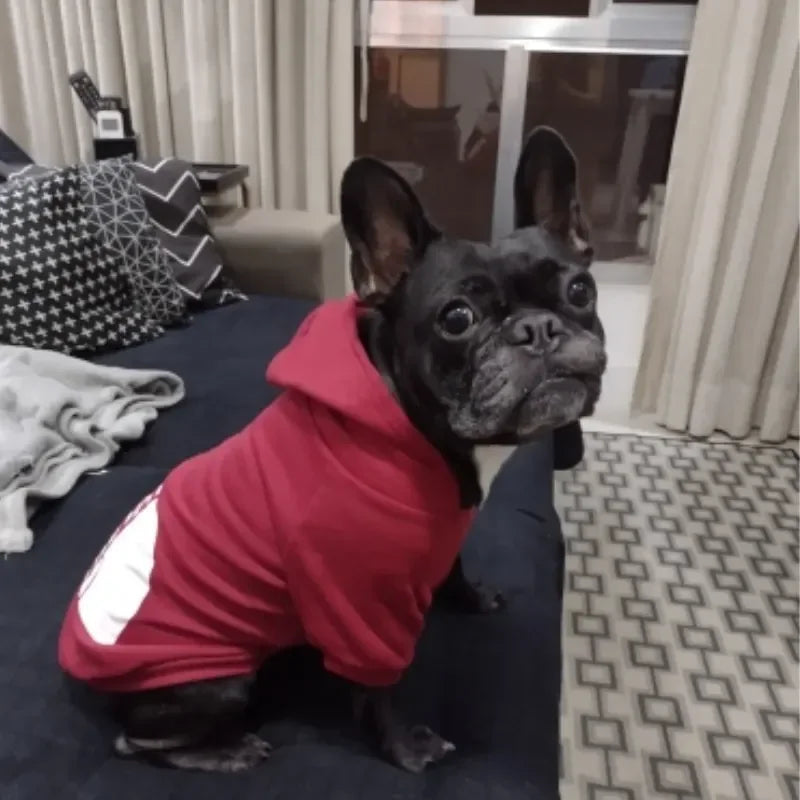 Dog Hoodies for Large Dogs Hoodie with Dog Pouch Pet Dogs Hoodies Autumn and Winter Season French Jacket Clothing