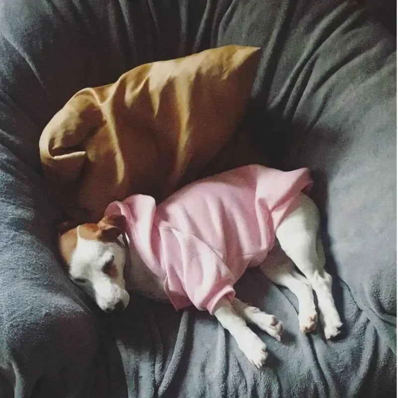 Dog Hoodies for Large Dogs Hoodie with Dog Pouch Pet Dogs Hoodies Autumn and Winter Season French Jacket Clothing