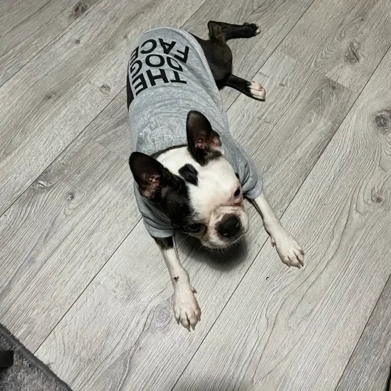 Dog Hoodies for Large Dogs Hoodie with Dog Pouch Pet Dogs Hoodies Autumn and Winter Season French Jacket Clothing