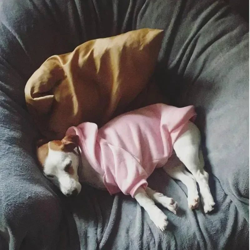 Dog Hoodies for Large Dogs Hoodie with Dog Pouch Pet Dogs Hoodies Autumn and Winter Season French Jacket Clothing