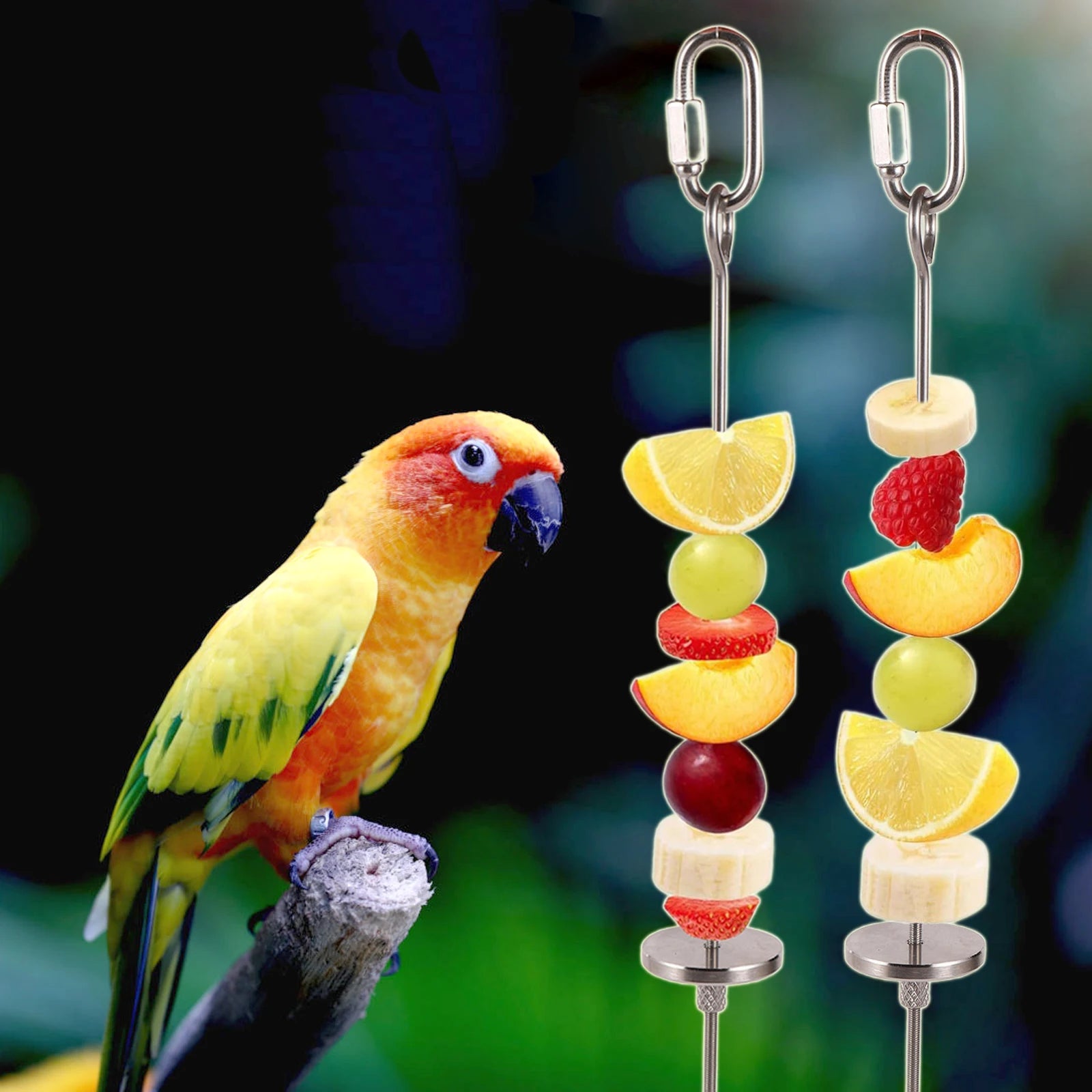 1 Pc Stainless Steel Pet Parrot Bird Food Rack Bird Cage Fruit Fork Fruit Fruit Fork Hook Meat Vegetable Skewer Bird Supplies
